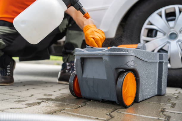 Best Tree Maintenance Programs  in Burns, TN